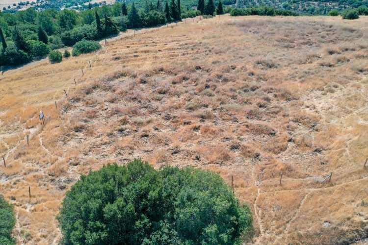 <p>Birinci yılın sonunda geleneksel sulama yapılan bölgedeki fidanların yüzde 40'ı tutarken, su hasadı yapılan alanlarda dikilen ağaçların yüzde 80'i tuttu.</p>
