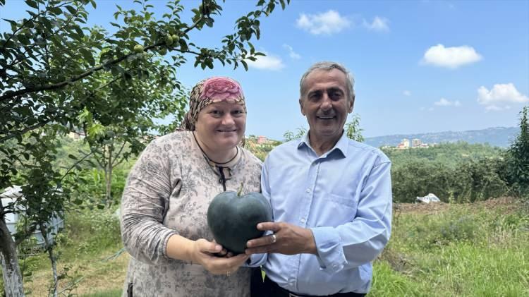 <p><em><strong>"Yetiştirmesi de çok zor. Öyle basit iş değil ki gelişi güzel yapılsın. Kalpli karpuz yapmak gerçekten kolay değil ama 'Japonlar yapar da Karadenizli Temel Yazıcı niye yapmasın' dedim. Hiç pes etmedim. Çalışmaya da çok meraklıyım, azimliyim, başardım. Herkes beni sever. Burada halk arasında hatta il dışında her yerde 'Talihsiz Temel' olarak biliniyorum. Vallahi talihim döndü."</strong></em></p>
<p> </p>