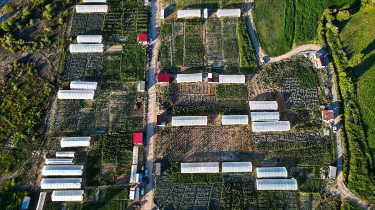 <p>Ersen, proje sayesinde sezondan yaklaşık 2 ay önce mahsul alındığını ifade ederek, "Şu anda burada üretilen sebzeleri pazara götürerek halkla buluşturuyorlar. Bunun yanı sıra ilimizde görev yapan il dışından memurlar başta olmak üzere birçok vatandaş burada dalından toplayarak da mahsulü satın alabiliyorlar." diye konuştu.</p>
<p> </p>