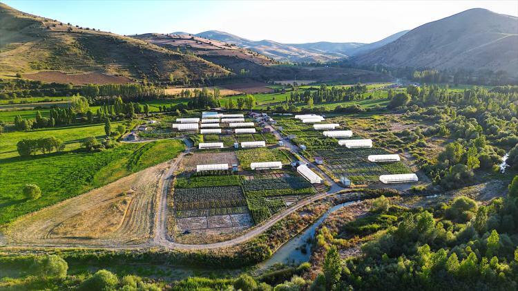 <p>Burası bir fabrika gibi ve Bayburt'un sebze ihtiyacının üçte birini karşılıyoruz. Burada alışveriş yapılıyor. Aileler gelip isteği gibi toplayabiliyorlar. Bu ortamı, bu havayı teneffüs ediyorlar." dedi.</p>