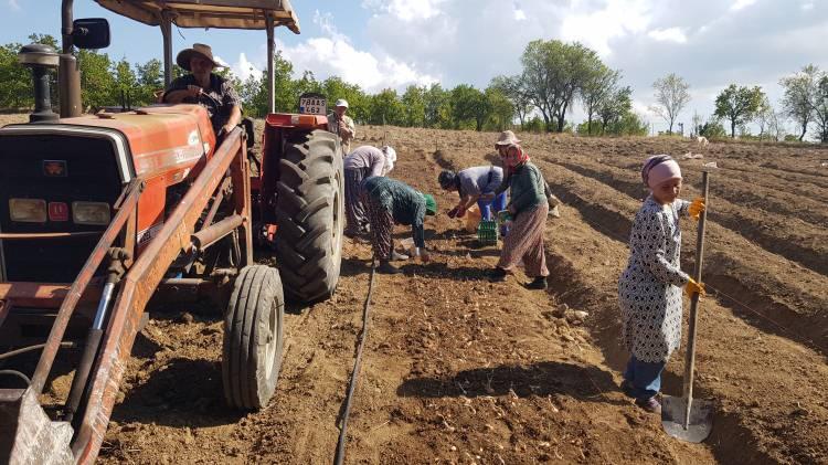 <p>Safranbolu'da 3 bin 500 yıllık geçmişe sahip, Bizans döneminde Batı Anadolu'da ticareti yapılan, Osmanlı döneminde de önemini koruyansafran, "milli bitki" ünvanını alırken Avrupa Birliği Komisyonu tarafından geçen yıl coğrafi işaretle tescillendi.</p>
