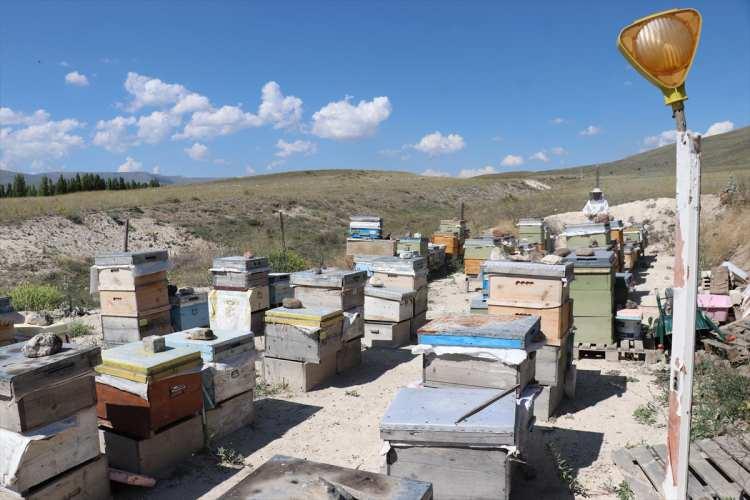 <p>Yakutiye ilçesinde arıcılık yapan Murat Turan ise ata, dede mesleği olan arıcılığı 15 yıldır profesyonel olarak yaptığını söyledi.</p>

<p> </p>
