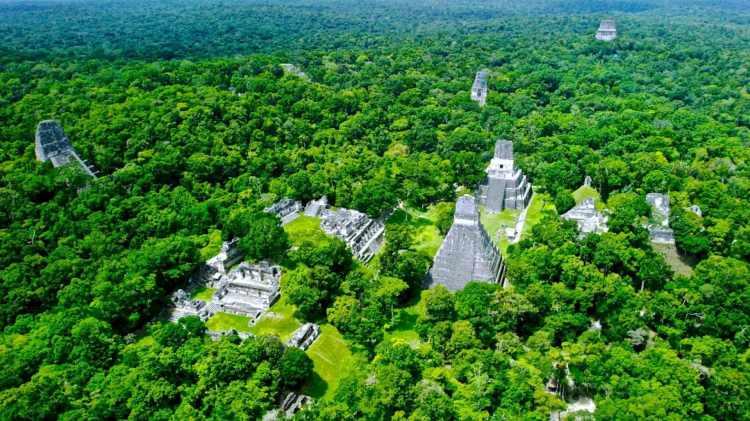 <p><span style="color:#B22222"><strong>7. TİKAL - PETEN, GUATEMALA</strong></span></p>

<p> </p>

