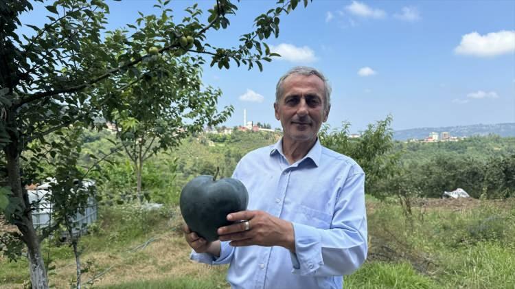 <p>Önceden civciv yetiştiriciliği, terlik imalatı, temizlik ürünleri satışının yanı sıra tarımsal üretimde başarısız olan Yazıcı, çevresinde "Talihsiz Temel" olarak tanınıyor.</p>
<p></p>