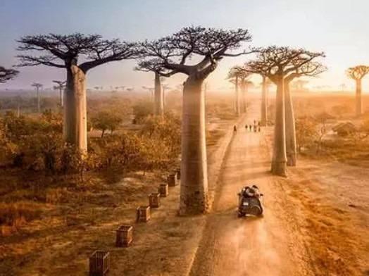 <p><strong>27) MADAGASKAR | 83 MİLYON Mevcut Nüfus: 31.1 milyon</strong></p><p> </p>