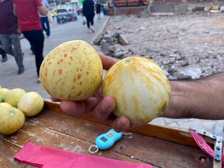 <p><span style="color:#000000"><em><strong>Elazığ’da susuz arazilerde yetişen ve tadı ile şekliyle dikkat çeken "Kultik" kavunu, tezgahlarda yerini aldı. Yaz aylarının hem lezzetli hem de sağlıklı bir meyvesi olan kavun, %90’dan fazla su içeriğiyle biliniyor. İşte kultik kavunun bilinmeyen faydaları...</strong></em></span></p>