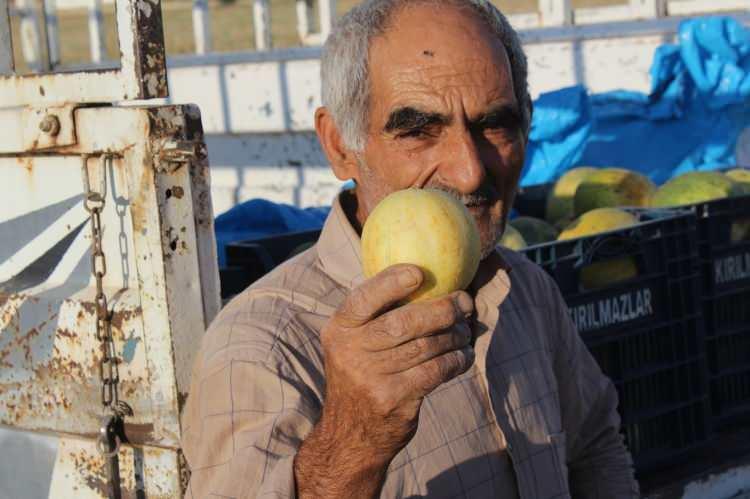 <p>Yüksek su ve C vitamini içeriğiyle cilt sağlığını da destekler, kolajen üretimini artırarak cildin daha genç ve canlı görünmesine katkıda bulunur.</p>
<p> </p>