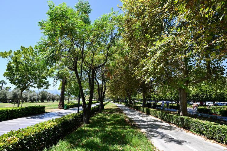 <p><span style="color:#B22222"><strong>İŞTE KENTTEN MANZARALAR...</strong></span></p>
