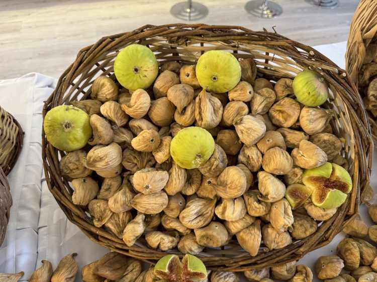 <p>Valilik olarak ilimiz ve ülkemiz ekonomisinde bu derece öneme sahip olan incirin üretimden pazarlamasına kadar her safhasında, üreticilerimiz ve ticaret erbabımızın her zaman yanında olduğumuzu belirtmek isterim.</p>
<p> </p>