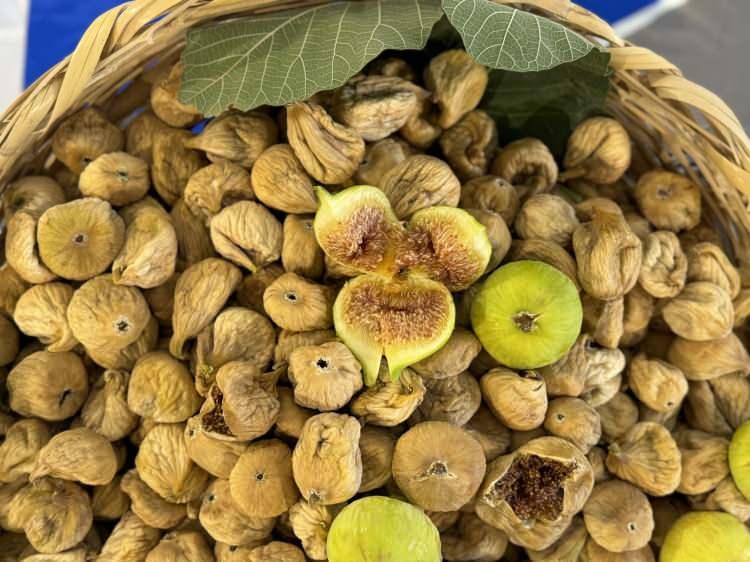 <p>Kentte 16 bin çiftçinin incir üretiminde yer aldığını aktaran Canbolat, "İlimiz incir üretimiyle ülke sıralamasında birinci konumdadır. </p>