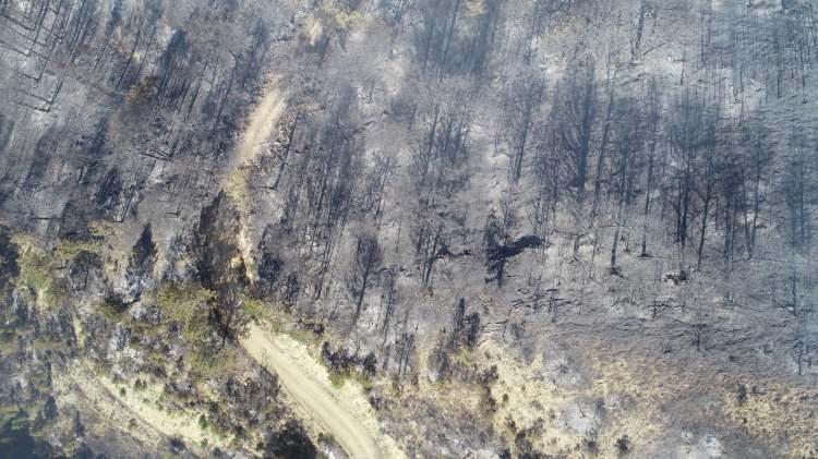 <p>Yangını söndürme çalışmalarına Bolu ve çevre illerden 10 helikopter, 90 arazöz, 96 araç ve iş makinesi destek veriyor.</p>
<p> </p>