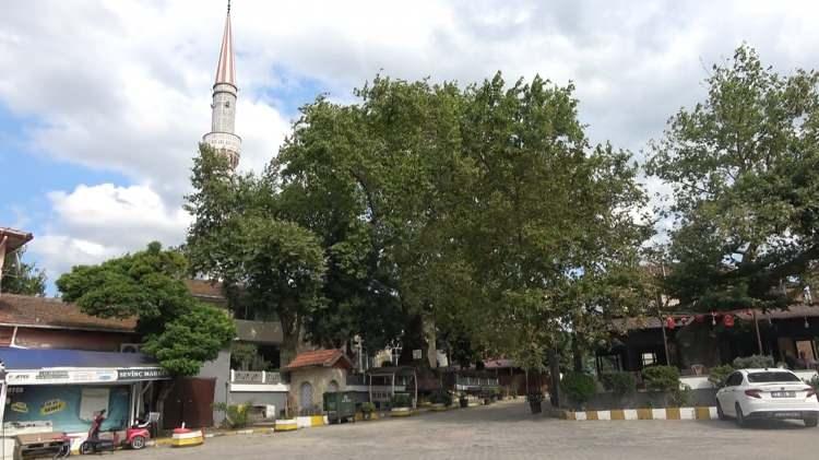 <p>Mustafa Candaş Manço, annesinin İstanbul'da da aktif bir hayatı olduğunu söyledi. Manço, annesinin İstanbul'da dernek üyeliğinin yanı sıra Beşiktaş Belediyesinde encümen azası görevlerini yaptığını da kaydetti.</p>
