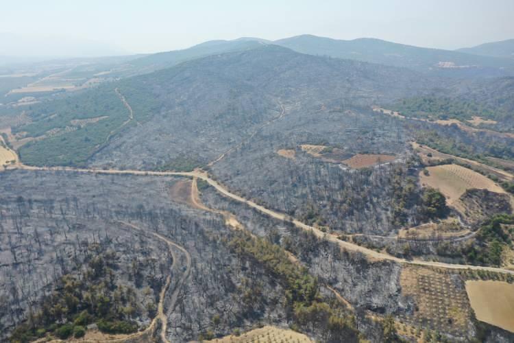 <p>Ekiplere takviye yapıldı, uçak sayısı 5'e, helikopter sayısı 13'e çıkarıldı. Alevlere karadan da 45 arazöz, 15 su ikmal, 4 dozer ve 4 yer ekibi ile müdahale edildi.</p>

<p> </p>
