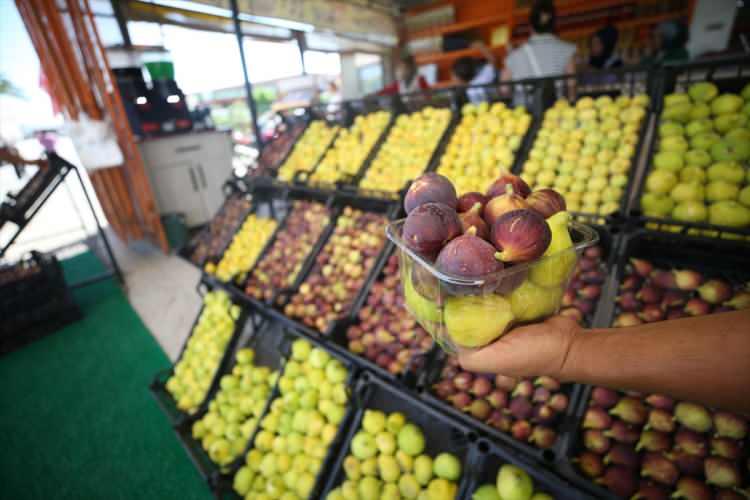 <p>Havranlı zeytin ve incir üreticisi Akif Tekin, AA muhabirine, 500 dönüm arazide incir yetiştirdiklerini söyledi.</p>

<p> </p>
