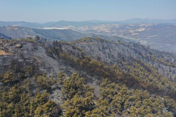 <p>Bolu, İzmir ve Manisa'da devam eden yangınlara ekipler hem havadan hem de karadan canla başla mücadele veriliyor. </p>
