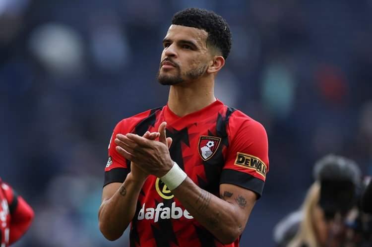 <p>Dominic Solanke ➡ Tottenham</p>
