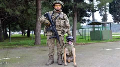<p>Labrador cinsi 7 yaşındaki arama köpeği 'Manas' ile Belçika Malinois cinsi 4,5 yaşındaki arama köpeği 'Sande', çeviklik ve cesaret parkurunda, ses alma ve yönlendirme eğitimlerini başarıyla gerçekleştirirken; 'Sande' yine kışlada oluşturulan deprem enkazında senaryo gereği yaralı haldeki depremzedenin yerini tespit edip, kurtarılmasını sağladı.</p>