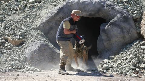 <p><strong>Söz konusu bu sistem; arama-tarama faaliyetleri esnasında 'keşif', 'mayın arama' ve 'bomba arama' köpekleri üzerine yerleştirilerek kullanılan, kullanıcı personelin tehlikeli ya da risk barındıran durumlarda köpeklerini daha iyi yönlendirilebilmeleri ve dışarıdan görüntü alınamayan ortamlarda, operasyona katkı sağlaması maksadıyla kullanılması hedeflenen bir sistemdir. Askeri köpekler ile sürekli iletişim halinde olmak ve uzaktan onları yönlendirerek ortam bilgisini anlık edinmek, köpeklerin operasyonlarda daha etkin kullanılması bakımından önem arz etmektedir" dedi. </strong></p>
