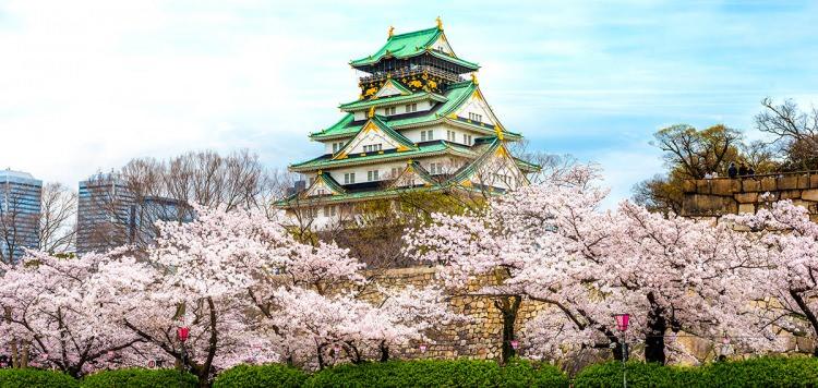 <p>16. Osaka</p>
