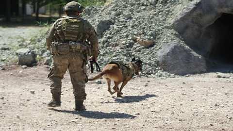 <p>Canlı tespiti yaparak arama-kurtarma ekiplerini yönlendiren 29 askeri köpekli timin, enkazda işaretledikleri noktalardan açılan yaşam koridorlarıyla yüzlerce kişi de yeniden hayata tutundu.</p>