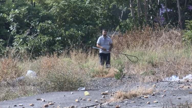 <p>Saldırdıkları adamı &ouml;ld&uuml;ren k&ouml;pekler i&ccedil;in Fatih Belediyesi harekete ge&ccedil;ti.</p>
