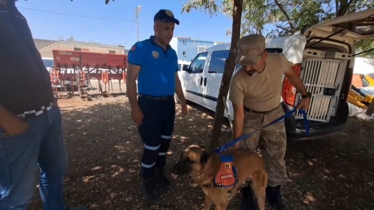 <p>Diyarbakır'ın Bağlar ilçesine bağlı kırsal Tavşantepe Mahallesi'nde 21 Ağustos'ta Kur'an kursundan ayrıldıktan sonra bir daha haber alınamayan Narin Güran'ı arama çalışmaları 6'ncı gününde...</p>
