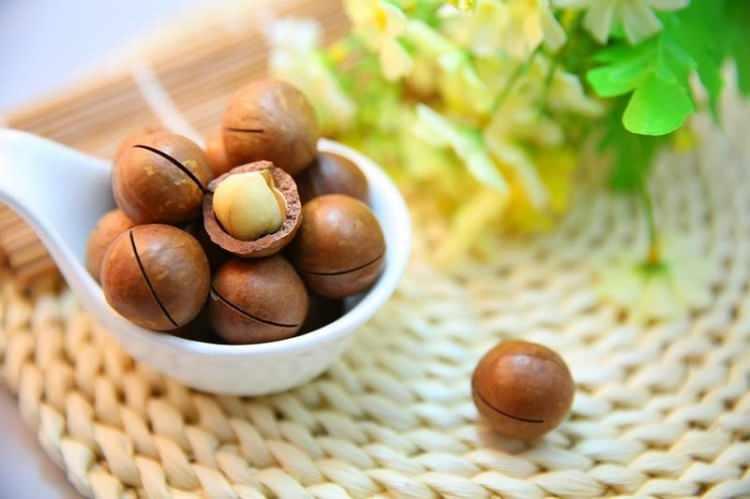 <p><strong> Macadamia fındığı</strong></p>

<p> </p>
