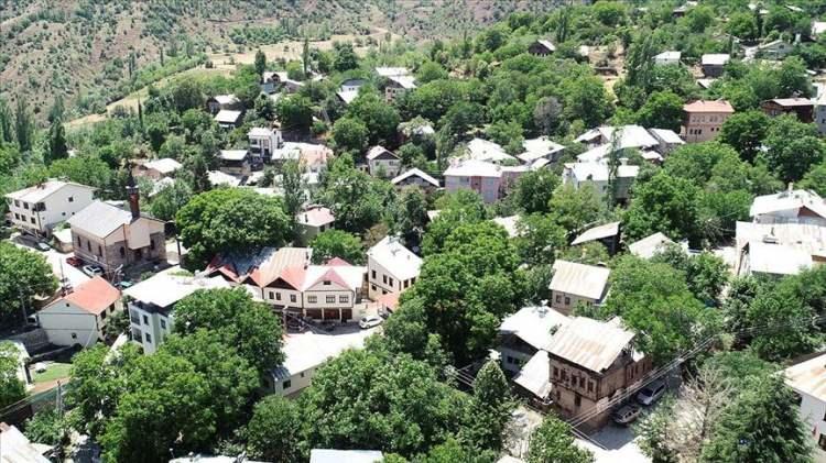 <p><strong><span style="color:#B22222">GİRESUN, ŞEBİNKARAHİSAR (TAMZARA)</span></strong></p>
