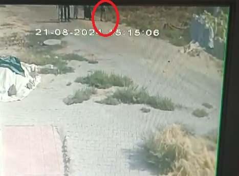 <p>EN SON GÖRÜLDÜĞÜ NOKTADA ARKADAŞLARIYLA CANLANDIRMA YAPILDI</p>

<p> </p>
