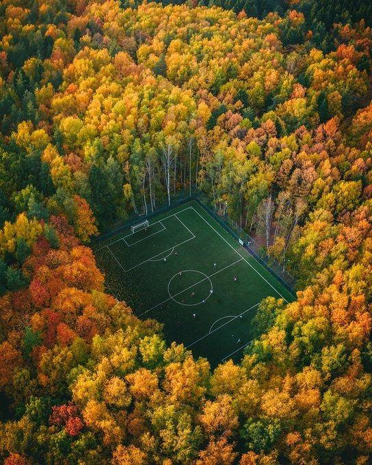 <p>Meshchersky Parkı, Moskova</p>
<p>Moskova'ya 20 dakika mesafede bulunan bu muhteşem futbol sahası, ormanın içerisinde yer alıyor.</p>