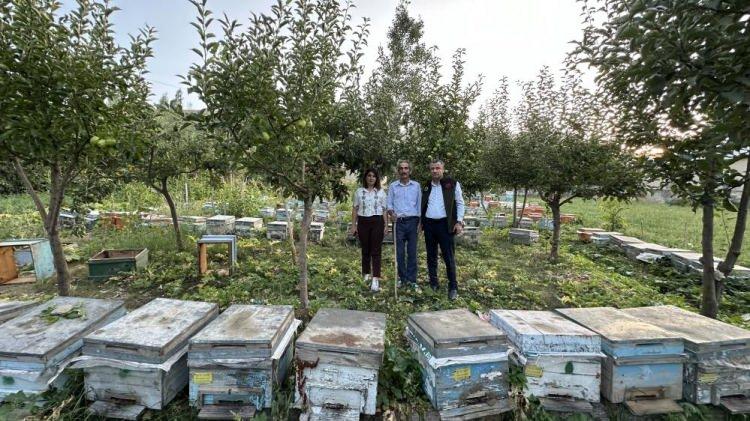 <p>İlçenin Kadıköy köyünde yaşayan Hamza Onat isimli çiftçi, tüm zorluklara rağmen 40 senedir hem çiftçilik yapıyor. Yılların verdiği tecrübeyle her sene köyün farklı yerlerinde meyve sebze ekimi yapmasının yanı sıra kendi bahçesine arı kovanları da bırakan Onat, 10 çocuğunu da okutarak meslek sahibi yapmayı başardı.</p>