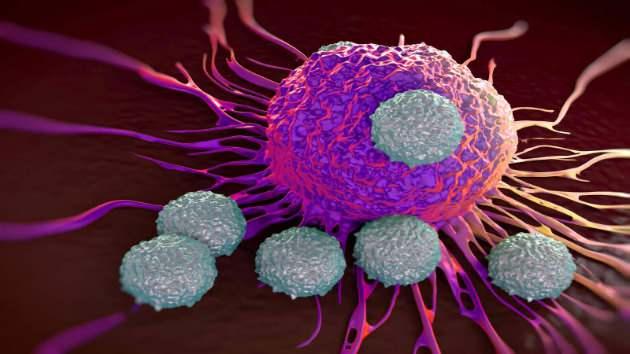 <p>Amerikan Klinik Onkoloji Derneği'nden Profesör Charles Swanton, düşük lif ve yüksek şeker içeren diyetlerin bağırsak bakterileriyle ilişkili mutasyonlara neden olabileceğini açıkladı.</p>
<p> </p>