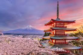 <p><span style="color:#B22222"><strong>4) JAPONYA</strong></span></p>