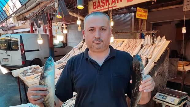 <p>Mersin Balıkçılar Derneği Başkanı Adnan Polat:</p>