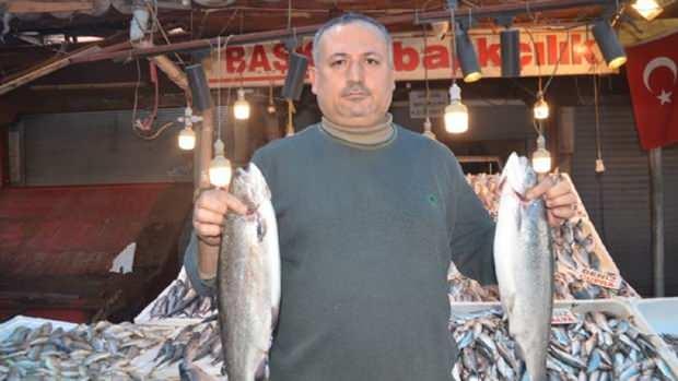 <p>Palamut ve sardalyanın kilosunun 50 TL'ye kadar inebileceğini kaydeden Polat, "Palamut ve sardalyanın kilosunu 50 liraya kadar çekeceğiz. Bu sezon bolluk, bereket bekliyoruz. </p>