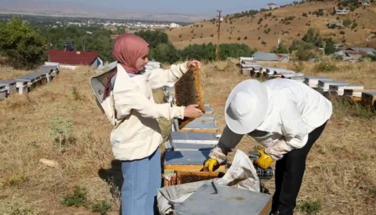 <p><strong>Aydın Bağlam, AA muhabirine, 28 yıl önce başladığı arıcılık mesleğinde kendini geliştirdiğini ve bir daha bırakamadığını söyledi.</strong></p>
<p><strong>Kentte 2013'te düzenlenen bir toplantı sayesinde TKDK hakkında bilgi sahibi olduğunu anlatan Bağlam, şöyle konuştu:</strong></p>
<p><em><strong>"O dönemde 500 kovanlık bir proje sundum ve yüzde 65 hibe desteği aldım. İşimi büyütmeye başladım. 2020'de kızım da arıcılığa başladı ve sunduğu projesi kabul edildi. Şu anda Muş'ta 500, Bitlis'te de 500 kovanımız var. Birlikte arıcılık yapıyoruz. Muş'taki işletmemizde 6 tona yakın bal hasadı yaptık. Balımızda katkı maddesi yok. Türkiye'nin her yerine gönderiyoruz."</strong></em></p>