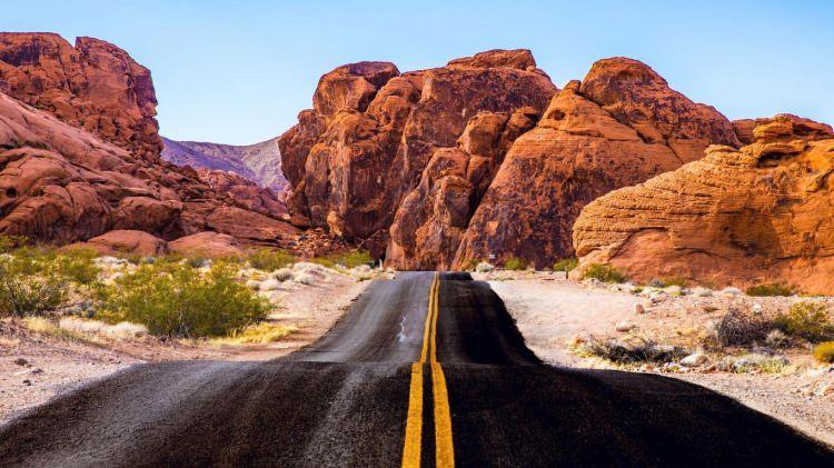 <p>Nevada'da otoyolda bir deve süremezsiniz.</p>
<p> </p>