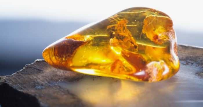 <p>Romanya'nın güneydoğusundaki Colti köyünde yıllarca kapı tutucu olarak kullanılan bir taş, milyonlarca yıllık amber olduğu ortaya çıkınca büyük bir keşfe dönüştü.</p>
<p> </p>