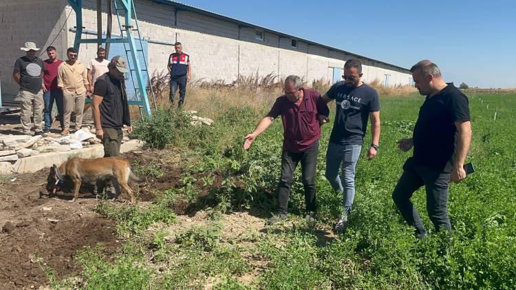 <p>“Kurban Bayramında gelmeyince aile kayıp başvurusunda bulundu”</p>
<p><br />
Fahri Demirdüzen'in kayınvalidesi Rahime Acar, aynı zamanda Murat Açkan'ın kardeşi kurban bayramından 9 gün sonra polise giderek kayıp başvurusunda bulundu. Bunun üzerine cinayet polisleri çalışma başlattı. Yapılan çalışmada polis Akçan'ın cinayete kurban gittiğini cinayeti de Demirdüzen'in işlediğini tespit etti.<br />
Bunun üzerine Demirdüzen, gözaltına alındı. Katil zanlısı sorgusunda herşeyi anlattı. Polis Konya'nın Ereğli ilçesine bağlı Aziziye Mahallesi'nde Murat Açkan'ın çiftliğine katili ile birlikte gitti. Katil Demirdüzen, polislere üvey dayısının gömdüğü yeri gösterdi. Kepçe yardımıyla gömüldüğü yerden ceset çıkartıldı. Ceset otopsi için Konya Adli Tıp Kurumuna götürüldü.<br />
Yapılan otopsisi ardından cenaze Adana'ya getirildi Kabasakal mezarlığında toprağa verildi.<br />
Katil zanlısı Demirdüzen ise emniyetteki işlemlerinin ardından adliyeye sevk edilirken çıkarıldığı mahkemece tutuklandı.</p>