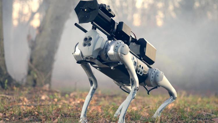 <p><strong><span style="color:#B22222">RIFLE TOTING ROBOT KÖPEK </span> | ÇİN</strong></p>