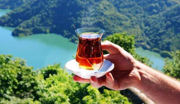 <p>Oda sıcaklığında bekleyen çayda bulunan organik bileşikler ve tanenler oksitlenir ve patojenik mikroflora için uygun bir ortam oluşturur. 24 saat içinde böyle bir filmde küf oluşabilir. </p>

<p> </p>
