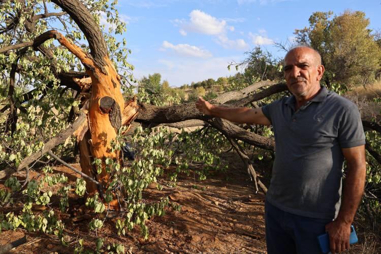 <p>Elazığ'da Çalıca köyünde yaşayan vatandaşlar, yağmurlu havalarda dışarı çıkmıyor. 50 metrekare alana 3 defa yıldırım düştüğü için bölge halkı manyetik alan olabileceğini düşünüyor.</p>

<p> </p>
