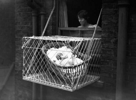 <p>Bahçesi veya açık alanı olmayan apartmanlarda bebeklerin temiz hava alabilmesi için tasarlanan bebek kafesleri, İngiltere ve Amerika Birleşik Devletleri'nde 1930’lara kadar aktif olarak kullanılmış. Kafesler yüksek binalarda yaşayan ve bahçesi olmayan Chelsea Bebek Kulübü üyelerine de dağıtılmış. 1950'lerden sonra ise güvenlik gerekçesiyle popülerliğini yitirmiş.</p>
<p>Tasarımın patenti Emma Read’e ait. Google Patents üzerinden edindiğimiz bilgiye göre “Taşınabilir Bebek Kafesi” ismi ile tanıtılan icadın patent başvurusu 1922’de yapılmış ve 1923’te kabul edilmiş. US576138A kayıt numaralı patent dosyasında kafesin boyutu, yapımı gibi teknik bilgileri içeren yönergeler de bulunuyor. </p>
<p> </p>