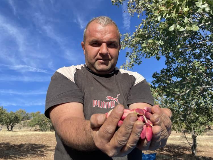 <p> Köylülerin kendi çabalarıyla başlattığı, son dönemde Tarım ve Orman Müdürlüğü'nün destekleriyle güçlendirdikleri Antep fıstığı hasadının bereketli olmasını dileyen Öztürk, <em><strong>"Günlüce köyünde yıllardır üretimi devam eden bir ürünümüz var, bu da Antep fıstığı. Özellikle son yıllarda aşılama destekleriyle beraber her geçen gün ağaçlarımız Antep fıstığına dönüşüyor.</strong></em></p>
