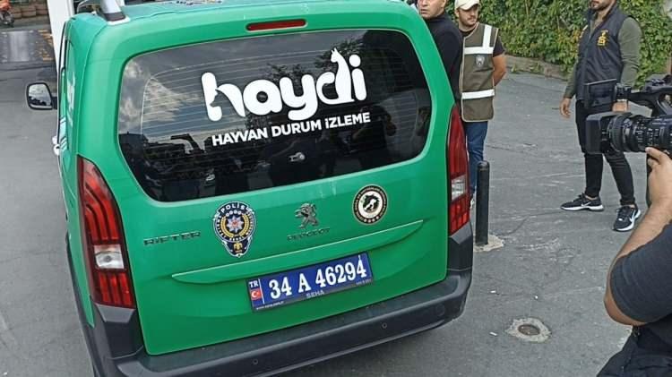 <p>19 Temmuz 2024 tarihinde annesi Pınar Geçti'yi darp ettiği, aynı gün kendisiyle kavga eden kız kardeşinin komşularına sığındığı, şüphelinin bunun üzerine komşuları Y.T.'nin evine giderek tehditlerde bulunduğu, 26 Haziran 2024 tarihinde çocukluk arkadaşı Y.A.Y. isimli şahsı bıçakladığı öğrenildi.</p>
