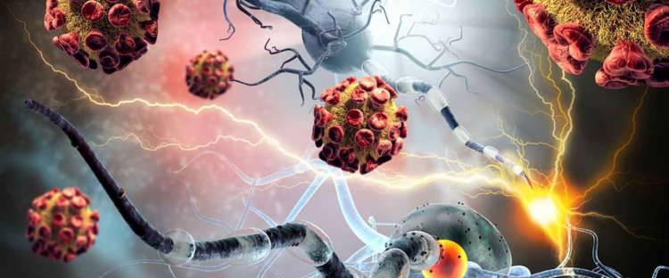 <p>Dr. Raj Dasgupta ise yaptığı açıklama sırasında "Genellikle çoğu insanın bu aşıları bir arada yaptırması güvenli olsa da, onun durumunda bağışıklık tepkisi çok fazla olmuş ve komplikasyonlara yol açmış olabilir. Sisteminin aşırı yüklenmesini önlemek için aşıları aralıklarla yapmak ve semptomların kötüleşmemesi için yakından izlemek makul olacaktır." dedi.</p>