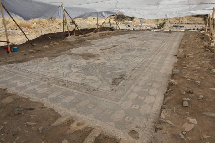 <p>Kent merkezine 14 kilometre uzaklıkta bulunan Salkaya k&ouml;y&uuml;nde tarlasında yaklaşık bir yıl &ouml;nce fidan diken Mehmet Emin Sualp, tesad&uuml;fen &uuml;zerinde &ccedil;eşitli desenlerin yer aldığı mozaik desenli yapı olduğunu fark etti.</p>
