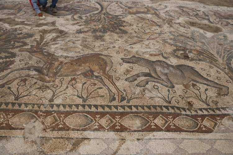 <p>&Ouml;te yandan, b&ouml;lgede kilise ve şarap mahzeni de g&uuml;n y&uuml;z&uuml;ne &ccedil;ıkarıldı.</p>
