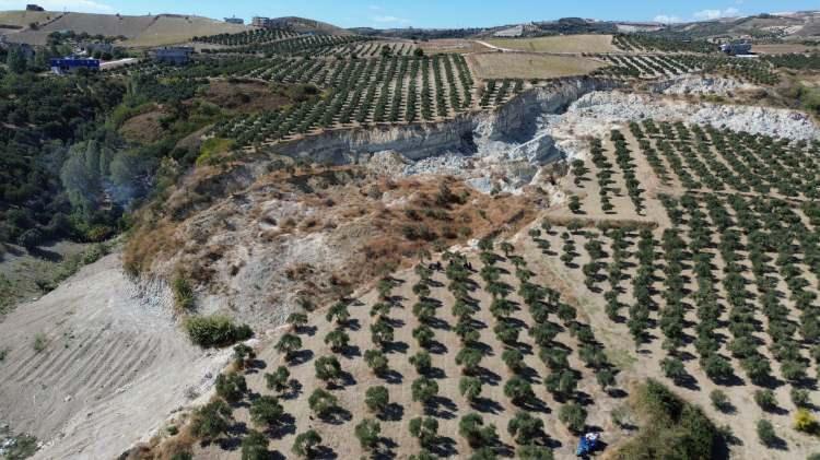 <p>Asrın felaketinin büyüklüğünü gösteren ve görünümüyle ürküten devasa yarığın yanı başındaki zeytin ağaçlarında hasat başladı.</p>
