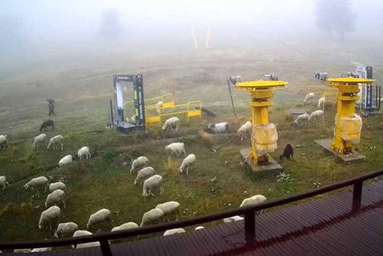 <p>2024 YILINI KARSIZ KARŞILADI</p>
<p> </p>